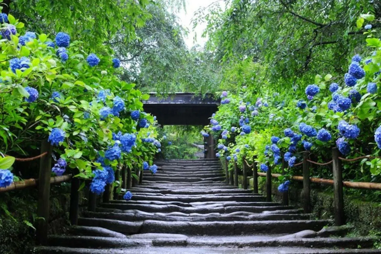 Credo Maison Kamakura 202